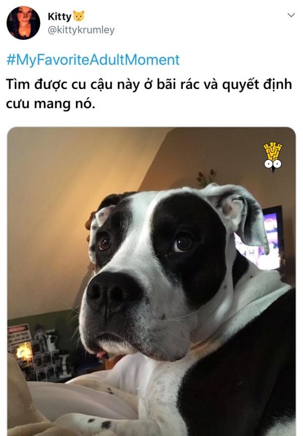 Góc chia sẻ: Khoảnh khắc yêu thích nhất của bạn khi trở thành người lớn là gì? Góc chia sẻ: Khoảnh khắc yêu thích nhất của bạn khi trở thành người lớn là gì?