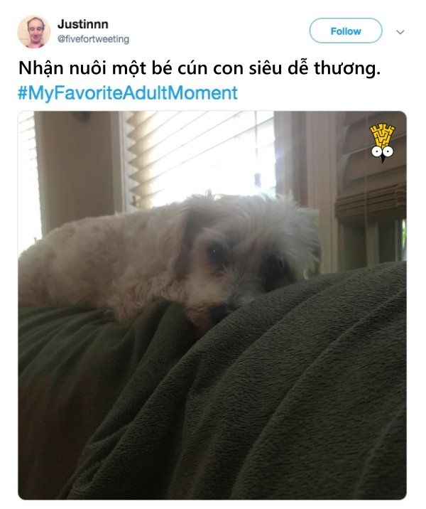 Góc chia sẻ: Khoảnh khắc yêu thích nhất của bạn khi trở thành người lớn là gì? Góc chia sẻ: Khoảnh khắc yêu thích nhất của bạn khi trở thành người lớn là gì?