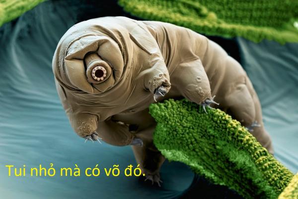 20 sự thật kì lạ về động vật khiến bạn phải thốt lên 'sao giờ mình mới biết?' 20 sự thật kì lạ về động vật khiến bạn phải thốt lên 'sao giờ mình mới biết?'