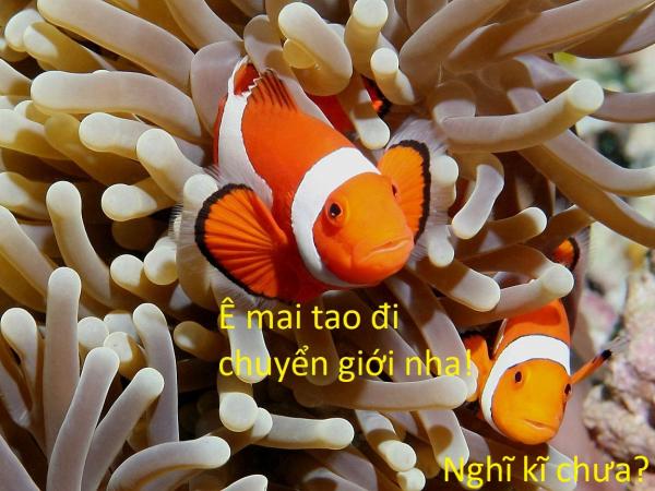 20 sự thật kì lạ về động vật khiến bạn phải thốt lên 'sao giờ mình mới biết?' 20 sự thật kì lạ về động vật khiến bạn phải thốt lên 'sao giờ mình mới biết?'
