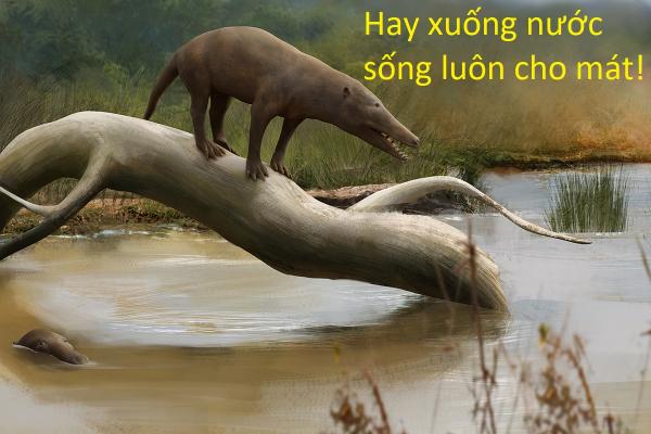 20 sự thật kì lạ về động vật khiến bạn phải thốt lên 'sao giờ mình mới biết?' 20 sự thật kì lạ về động vật khiến bạn phải thốt lên 'sao giờ mình mới biết?'