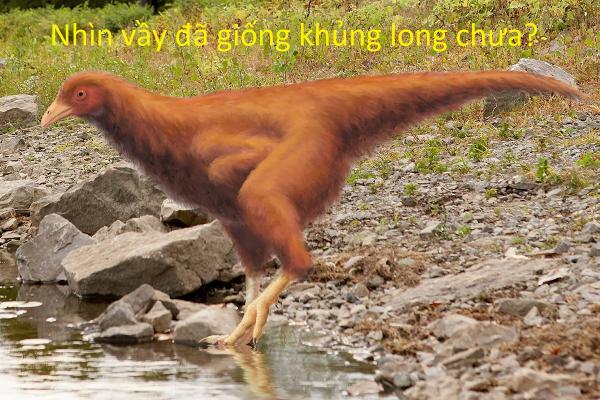 20 sự thật kì lạ về động vật khiến bạn phải thốt lên 'sao giờ mình mới biết?' 20 sự thật kì lạ về động vật khiến bạn phải thốt lên 'sao giờ mình mới biết?'