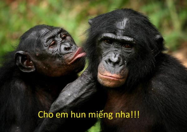 20 sự thật kì lạ về động vật khiến bạn phải thốt lên 'sao giờ mình mới biết?' 20 sự thật kì lạ về động vật khiến bạn phải thốt lên 'sao giờ mình mới biết?'