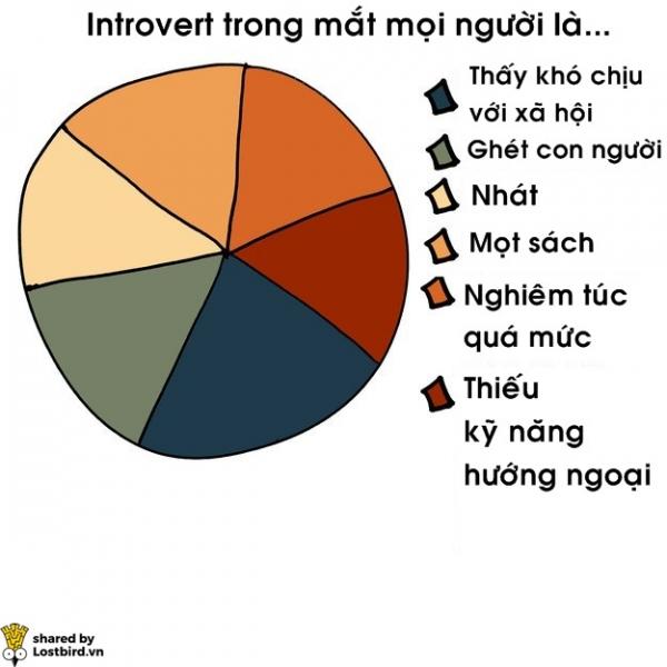 17 biểu đồ đơn giản giải mã cuộc sống của người hướng nội 17 biểu đồ đơn giản giải mã cuộc sống của người hướng nội