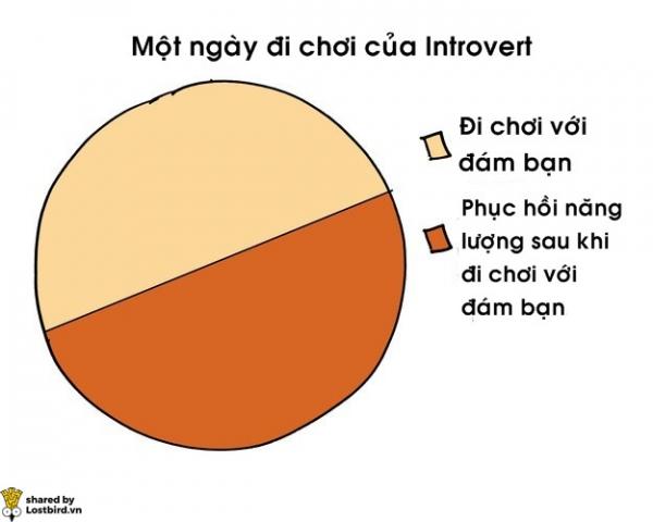 17 biểu đồ đơn giản giải mã cuộc sống của người hướng nội 17 biểu đồ đơn giản giải mã cuộc sống của người hướng nội