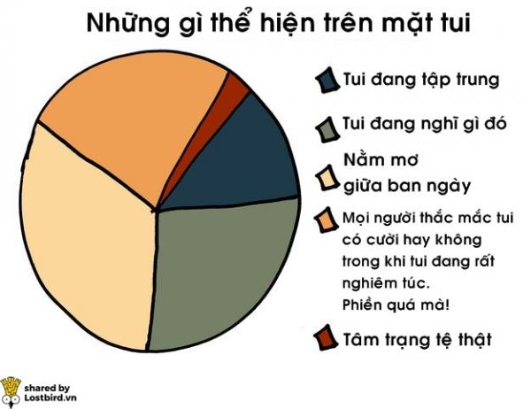 17 biểu đồ đơn giản giải mã cuộc sống của người hướng nội 17 biểu đồ đơn giản giải mã cuộc sống của người hướng nội