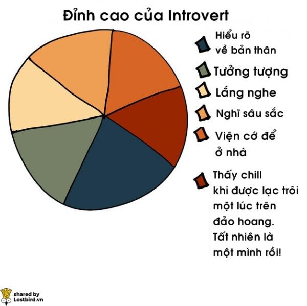 17 biểu đồ đơn giản giải mã cuộc sống của người hướng nội 17 biểu đồ đơn giản giải mã cuộc sống của người hướng nội