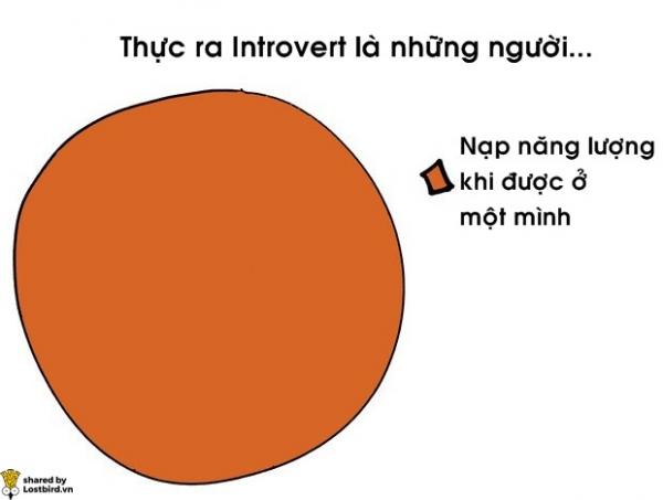 17 biểu đồ đơn giản giải mã cuộc sống của người hướng nội 17 biểu đồ đơn giản giải mã cuộc sống của người hướng nội
