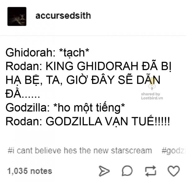 Tổng hợp meme: Dù bị giới phê bình chê bai, Godzilla vẫn được fan yêu thương vô bờ bến Tổng hợp meme: Dù bị giới phê bình chê bai, Godzilla vẫn được fan yêu thương vô bờ bến