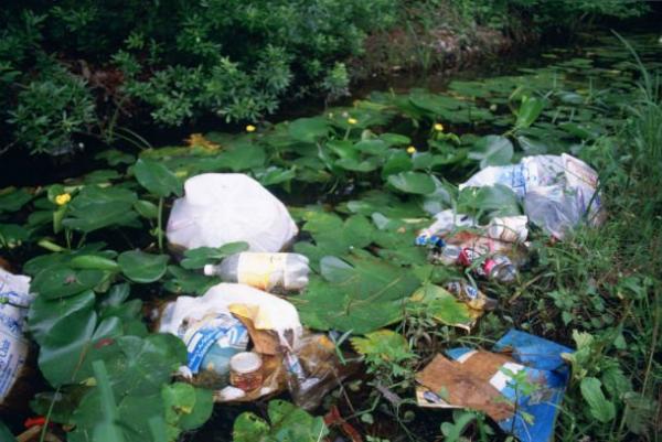 Những bộ môn ‘độc nhất vô nhị’ của các trường đại học trên thế giới: Trèo cây, thổi bóng bay và còn gì nữa? Những bộ môn ‘độc nhất vô nhị’ của các trường đại học trên thế giới: Trèo cây, thổi bóng bay và còn gì nữa?