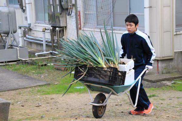 Ngôi trường Nhật Bản chỉ có một học sinh, ngày cậu trai tốt nghiệp cũng là ngày trường đóng cửa Ngôi trường Nhật Bản chỉ có một học sinh, ngày cậu trai tốt nghiệp cũng là ngày trường đóng cửa