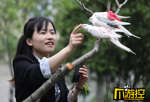 Ý tưởng khởi nghiệp: Kiếm gần một trăm triệu mỗi tháng chỉ nhờ làm... tã giấy cho chim Ý tưởng khởi nghiệp: Kiếm gần một trăm triệu mỗi tháng chỉ nhờ làm... tã giấy cho chim