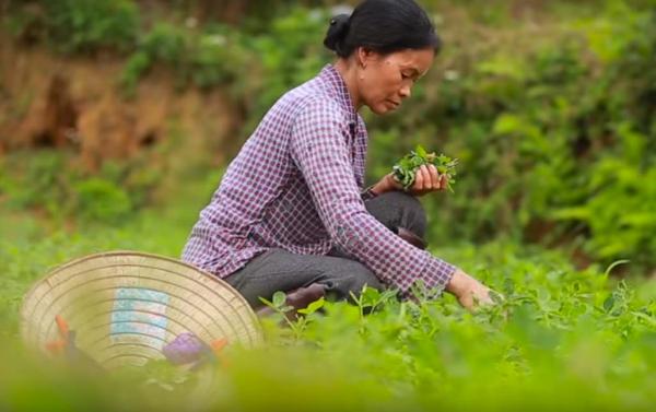 'Ẩm Thực Mẹ Làm': Chỉ bát canh cua và nụ cười của mẹ mà sao người xa quê lại muốn khóc òa 'Ẩm Thực Mẹ Làm': Chỉ bát canh cua và nụ cười của mẹ mà sao người xa quê lại muốn khóc òa