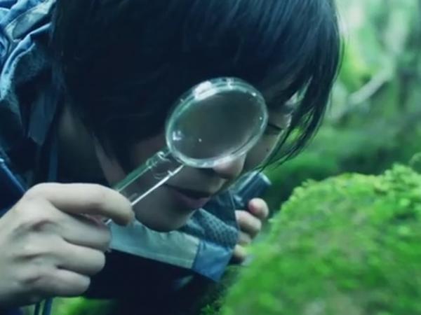 Ngắm rêu: Thú vui lạ kỳ nhưng tao nhã của nam thanh nữ tú Nhật Bản Ngắm rêu: Thú vui lạ kỳ nhưng tao nhã của nam thanh nữ tú Nhật Bản