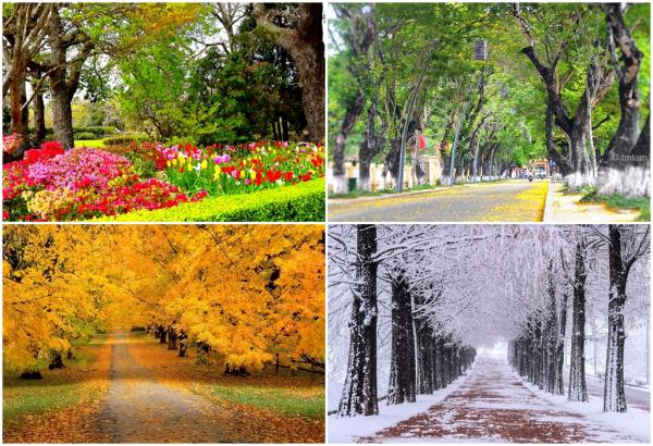 Điều gì sẽ xảy ra nếu Trái Đất bằng phẳng? Điều gì sẽ xảy ra nếu Trái Đất bằng phẳng?