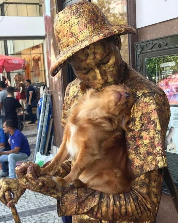 Jaspe - Nàng chó nâu có khả năng biểu diễn nghệ thuật tượng sống cùng chủ Jaspe - Nàng chó nâu có khả năng biểu diễn nghệ thuật tượng sống cùng chủ