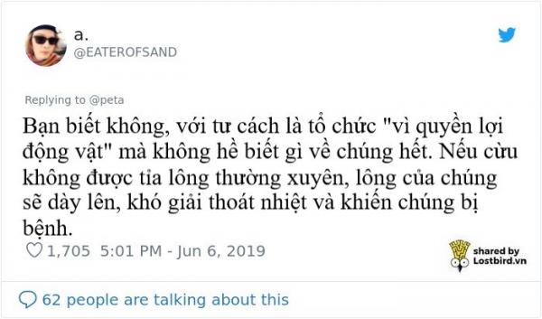 PETA lại bị cười nhạo khi dùng pokémon Wooloo để tuyên truyền ngừng sử dụng lông cừu PETA lại bị cười nhạo khi dùng pokémon Wooloo để tuyên truyền ngừng sử dụng lông cừu