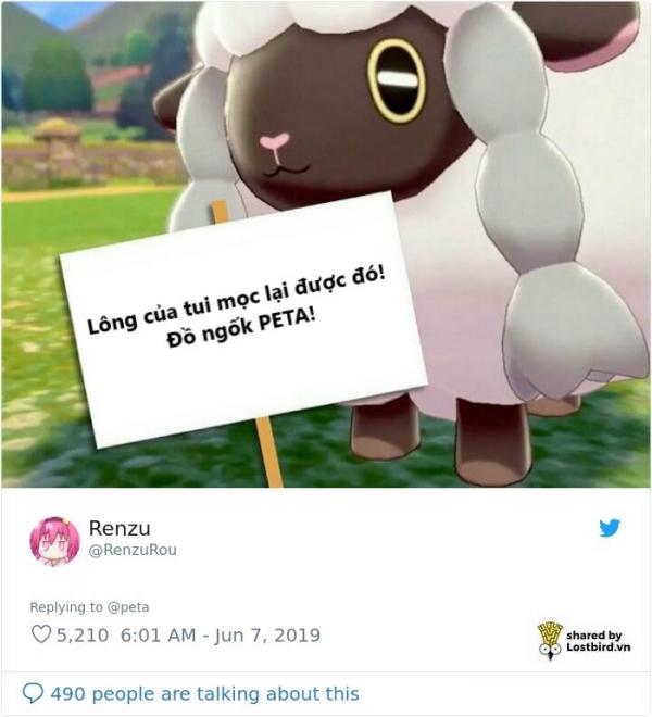 PETA lại bị cười nhạo khi dùng pokémon Wooloo để tuyên truyền ngừng sử dụng lông cừu PETA lại bị cười nhạo khi dùng pokémon Wooloo để tuyên truyền ngừng sử dụng lông cừu
