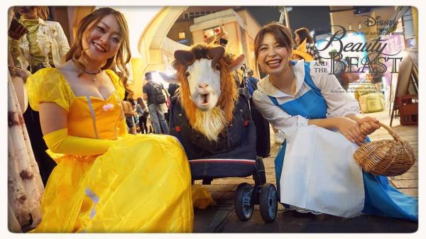 Thành viên mới nhất của nhóm nhạc idol Nhật Bản này là một anh... dê Thành viên mới nhất của nhóm nhạc idol Nhật Bản này là một anh... dê