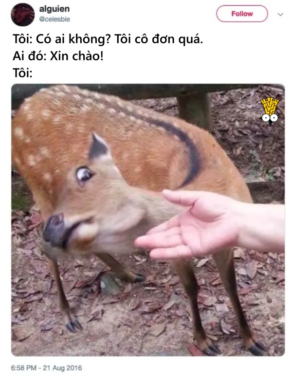 Tình bạn của người lớn cũng lắm chuyện dở khóc dở cười Tình bạn của người lớn cũng lắm chuyện dở khóc dở cười