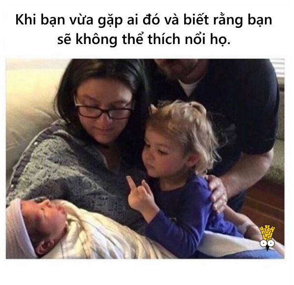 Tình bạn của người lớn cũng lắm chuyện dở khóc dở cười Tình bạn của người lớn cũng lắm chuyện dở khóc dở cười