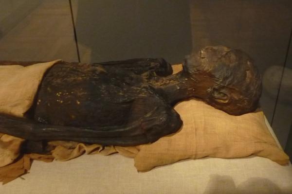 Bí ẩn xác ướp Ai Cập: Liệu lời nguyền từ lăng mộ Pharaoh Tutankhamun có thật sự tồn tại? Bí ẩn xác ướp Ai Cập: Liệu lời nguyền từ lăng mộ Pharaoh Tutankhamun có thật sự tồn tại?