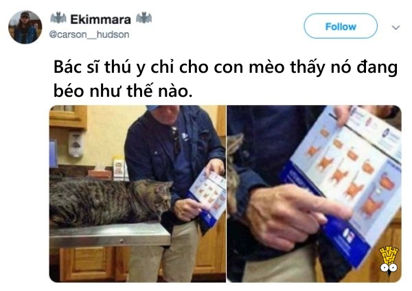'Cười ngất' trước những khoảnh khắc đáng yêu, vui nhộn của thú cưng 'Cười ngất' trước những khoảnh khắc đáng yêu, vui nhộn của thú cưng