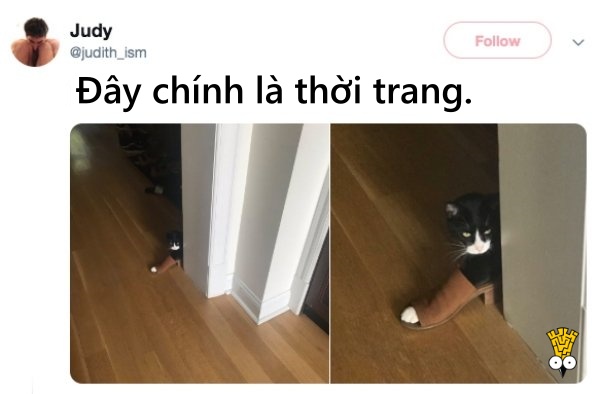 'Cười ngất' trước những khoảnh khắc đáng yêu, vui nhộn của thú cưng 'Cười ngất' trước những khoảnh khắc đáng yêu, vui nhộn của thú cưng
