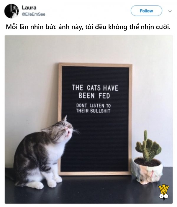 'Cười ngất' trước những khoảnh khắc đáng yêu, vui nhộn của thú cưng 'Cười ngất' trước những khoảnh khắc đáng yêu, vui nhộn của thú cưng