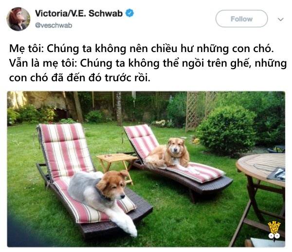 'Cười ngất' trước những khoảnh khắc đáng yêu, vui nhộn của thú cưng 'Cười ngất' trước những khoảnh khắc đáng yêu, vui nhộn của thú cưng