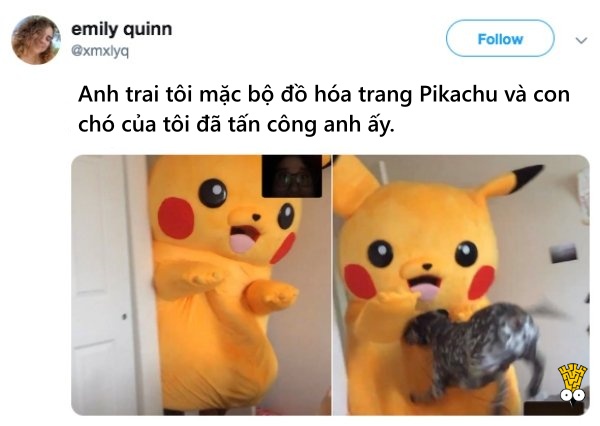'Cười ngất' trước những khoảnh khắc đáng yêu, vui nhộn của thú cưng 'Cười ngất' trước những khoảnh khắc đáng yêu, vui nhộn của thú cưng