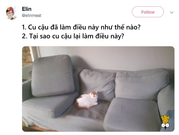 'Cười ngất' trước những khoảnh khắc đáng yêu, vui nhộn của thú cưng 'Cười ngất' trước những khoảnh khắc đáng yêu, vui nhộn của thú cưng
