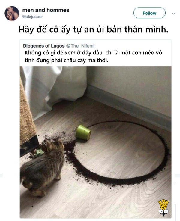 'Cười ngất' trước những khoảnh khắc đáng yêu, vui nhộn của thú cưng 'Cười ngất' trước những khoảnh khắc đáng yêu, vui nhộn của thú cưng