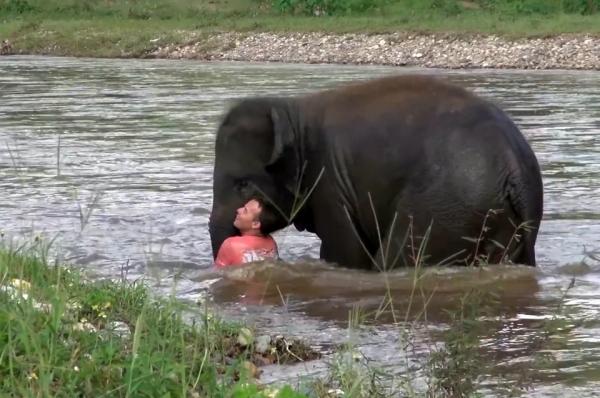 10 tình bạn đẹp không biên giới giữa người và động vật 10 tình bạn đẹp không biên giới giữa người và động vật