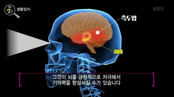 Khoa học chứng minh: Ngắm trai đẹp có thể giúp tăng trí nhớ và nâng cao thành tích học tập Khoa học chứng minh: Ngắm trai đẹp có thể giúp tăng trí nhớ và nâng cao thành tích học tập