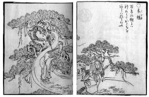 Truyền thuyết về Kodama (Mộc Linh) tại Nhật Bản Truyền thuyết về Kodama (Mộc Linh) tại Nhật Bản
