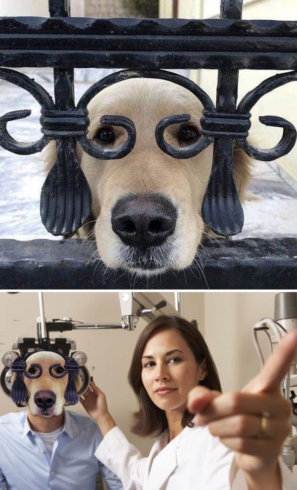 Các tay thợ Photoshop đã 'cứu rỗi' cuộc sống buồn tẻ này như thế nào? Các tay thợ Photoshop đã 'cứu rỗi' cuộc sống buồn tẻ này như thế nào?