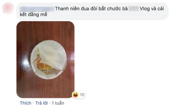 'Dùng bánh tráng thay màng bọc thực phẩm' để bảo vệ môi trường: Sáng kiến hay tối kiến? 'Dùng bánh tráng thay màng bọc thực phẩm' để bảo vệ môi trường: Sáng kiến hay tối kiến?
