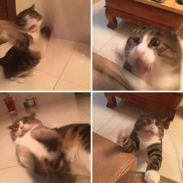 Cười quặn ruột với tuyển tập meme hài hước của khuôn mặt bị troll nhiều nhất trên Internet Cười quặn ruột với tuyển tập meme hài hước của khuôn mặt bị troll nhiều nhất trên Internet