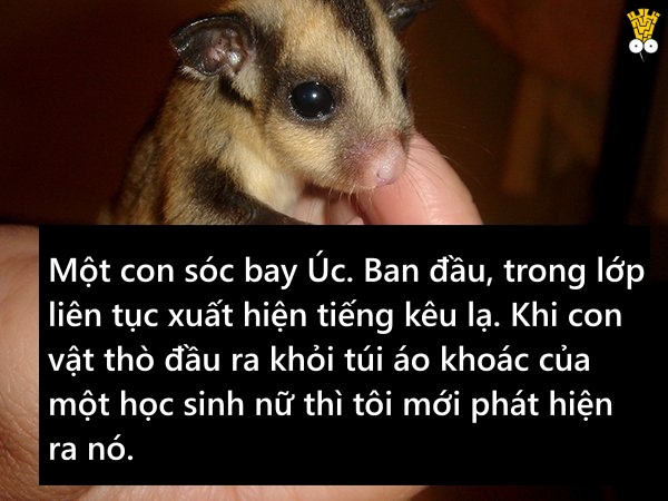 Những thứ 'kỳ cục kẹo' mà giáo viên tịch thu của học sinh Những thứ 'kỳ cục kẹo' mà giáo viên tịch thu của học sinh