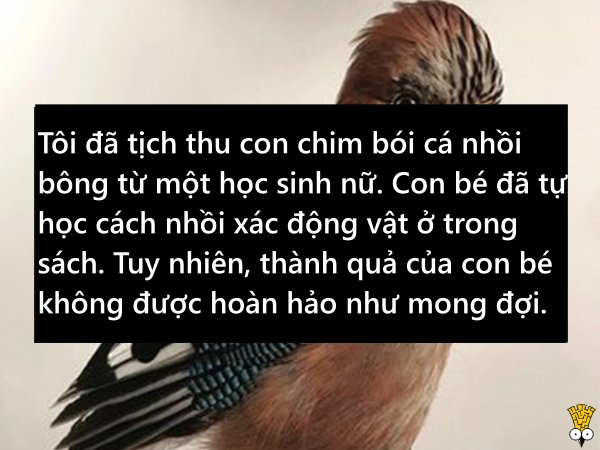 Những thứ 'kỳ cục kẹo' mà giáo viên tịch thu của học sinh Những thứ 'kỳ cục kẹo' mà giáo viên tịch thu của học sinh