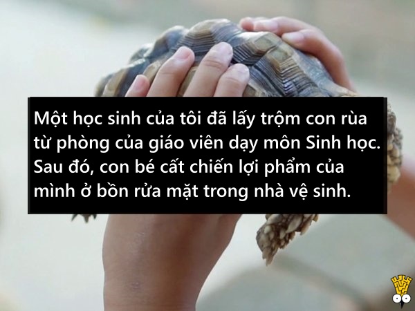 Những thứ 'kỳ cục kẹo' mà giáo viên tịch thu của học sinh Những thứ 'kỳ cục kẹo' mà giáo viên tịch thu của học sinh