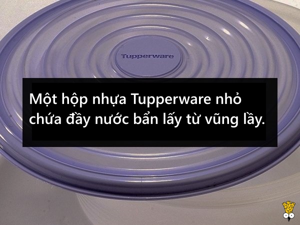 Những thứ 'kỳ cục kẹo' mà giáo viên tịch thu của học sinh Những thứ 'kỳ cục kẹo' mà giáo viên tịch thu của học sinh