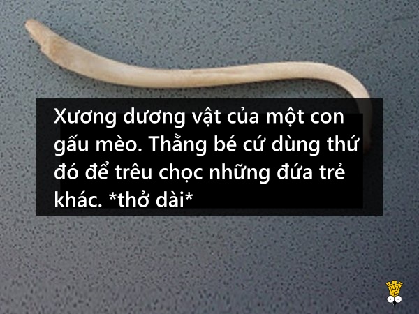 Những thứ 'kỳ cục kẹo' mà giáo viên tịch thu của học sinh Những thứ 'kỳ cục kẹo' mà giáo viên tịch thu của học sinh