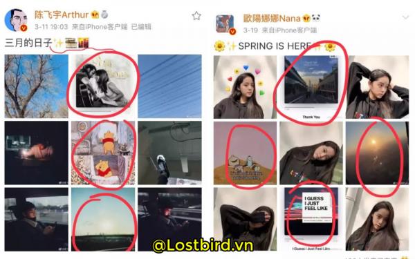 Lộ bằng chứng Trần Phi Vũ - Âu Dương Na Na ngầm hẹn hò: Hoá ra người có chung xuất phát điểm dễ thành đôi? Lộ bằng chứng Trần Phi Vũ - Âu Dương Na Na ngầm hẹn hò: Hoá ra người có chung xuất phát điểm dễ thành đôi?