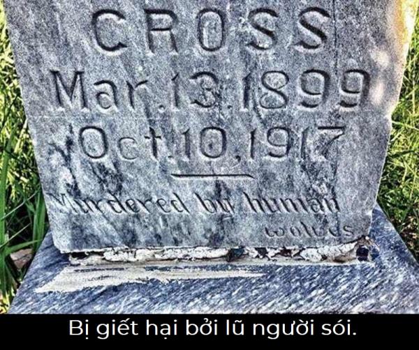 Nhói lòng những câu chuyện đằng sau dòng chữ được khắc trên bia mộ Nhói lòng những câu chuyện đằng sau dòng chữ được khắc trên bia mộ