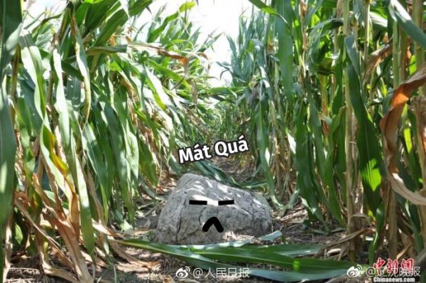 Hài hước ngọn núi nhỏ nhất thế giới: Chỉ cần bước 1 bước chân là đã lên tới... đỉnh Hài hước ngọn núi nhỏ nhất thế giới: Chỉ cần bước 1 bước chân là đã lên tới... đỉnh
