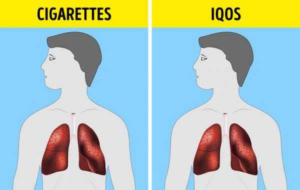 6 trào lưu sức khỏe không hiểu rõ thì lợi bất cập hại 6 trào lưu sức khỏe không hiểu rõ thì lợi bất cập hại