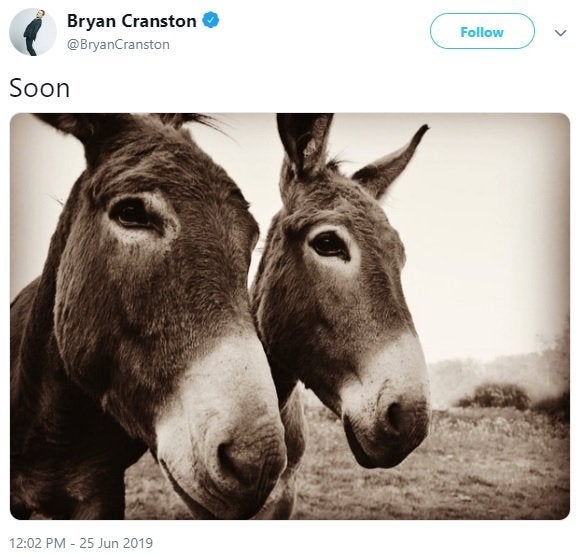 2 sao lớn cùng đăng ảnh 'thả thính' khiến fans Breaking Bad đứng ngồi không yên 2 sao lớn cùng đăng ảnh 'thả thính' khiến fans Breaking Bad đứng ngồi không yên