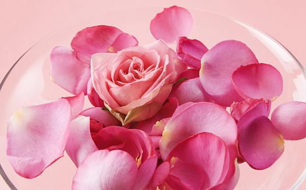 Công ty Pháp khiến cả thế giới sửng sốt khi bán loại thuốc biến mùi đánh rắm thành mùi hoa hồng? Công ty Pháp khiến cả thế giới sửng sốt khi bán loại thuốc biến mùi đánh rắm thành mùi hoa hồng?